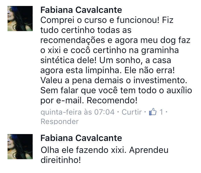 xixi e cocô no lugar certo